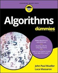 Image of Algorithms For Dummies